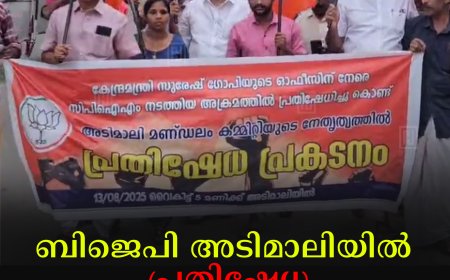 ബിജെപി അടിമാലിയില്‍ പ്രതിഷേധ പ്രകടനം നടത്തി 