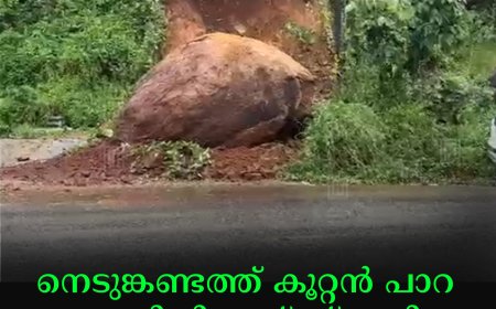 നെടുങ്കണ്ടത്ത് കൂറ്റന്‍ പാറ റോഡരികിലേയ്ക്ക് പതിച്ചു: ഓട്ടോറിക്ഷയ്ക്ക് കേടുപാട്
