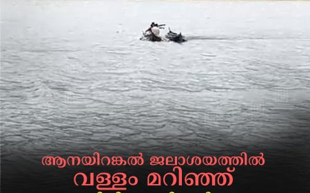 ആനയിറങ്കല്‍ ജലാശയത്തില്‍ വള്ളം മറിഞ്ഞ് അതിഥി തൊഴിലാളിയെ കാണാതായി