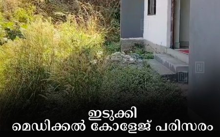 ഇടുക്കി മെഡിക്കല്‍ കോളേജ് പരിസരം ഇഴജന്തുക്കളുടെ താവളമാകുന്നു 