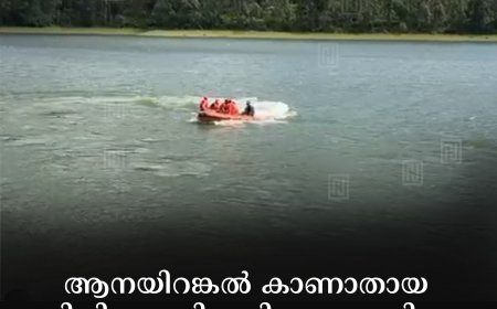 ആനയിറങ്കല്‍ കാണാതായ അഥിതി തൊഴിലാളിക്കുവേണ്ടിയുള്ള തിരച്ചില്‍ പുനരാരംഭിച്ചു