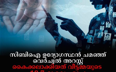 സിബിഐ ഉദ്യോഗസ്ഥന്‍ ചമഞ്ഞ് വെര്‍ച്വല്‍ അറസ്റ്റ്: കൈക്കലാക്കിയത് വീട്ടമ്മയുടെ 18.7 ലക്ഷം രൂപ: തൃശൂര്‍ സ്വദേശി ഹാരിസ് മുഹമ്മദിനെ നെടുങ്കണ്ടം പൊലീസ് പിടികൂടി
