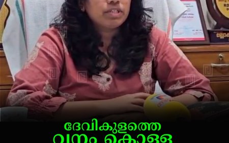 ദേവികുളത്തെ വനം കൊള്ള: അന്വേഷണത്തിന് ഉത്തരവിട്ട് സബ് കലക്ടര്‍