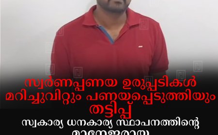 സ്വർണപ്പണയ ഉരുപ്പടികൾ മറിച്ചുവിറ്റും പണയപ്പെടുത്തിയും തട്ടിപ്പ്: സ്വകാര്യ ധനകാര്യ സ്ഥാപനത്തിൻ്റെ മാനേജരായ വണ്ടിപ്പെരിയാർ സ്വദേശി അറസ്റ്റിൽ: തട്ടിയത് 50 ലക്ഷം രൂപ