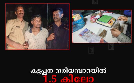 കട്ടപ്പന നരിയമ്പാറയില്‍ 1.5 കിലോ കഞ്ചാവുമായി കോട്ടയം സ്വദേശി അറസ്റ്റില്‍