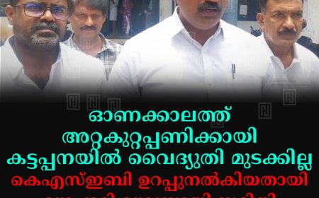 ഓണക്കാലത്ത് അറ്റകുറ്റപ്പണിക്കായി കട്ടപ്പനയില്‍ വൈദ്യുതി മുടക്കില്ല: കെഎസ്ഇബി ഉറപ്പുനല്‍കിയതായി വ്യാപാരി വ്യവസായി സമിതി