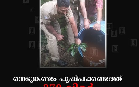 നെടുങ്കണ്ടം പുഷ്പക്കണ്ടത്ത് 270 ലിറ്റര്‍ കോട പിടികൂടി