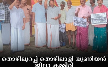 തൊഴിലുറപ്പ് തൊഴിലാളി യൂണിയന്‍ ജില്ലാ കമ്മിറ്റി തൊഴിലുറപ്പ് സമരം നടത്തി 