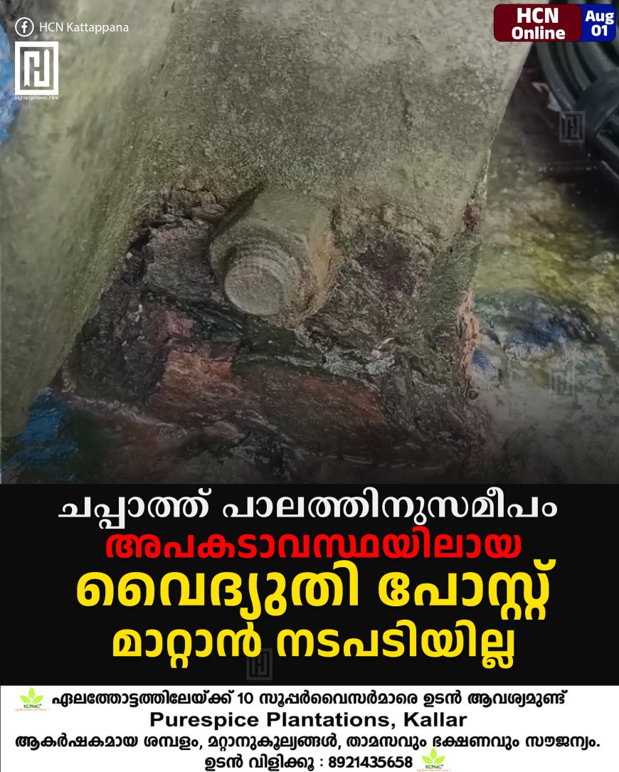 ചപ്പാത്ത് പാലത്തിനുസമീപം അപകടാവസ്ഥയിലായ വൈദ്യുതി പോസ്റ്റ് മാറ്റാന് നടപടിയില്ല
