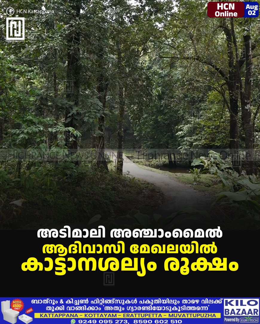 അടിമാലി അഞ്ചാംമൈല്‍ ആദിവാസി മേഖലയില്‍ കാട്ടാനശല്യം രൂക്ഷം 