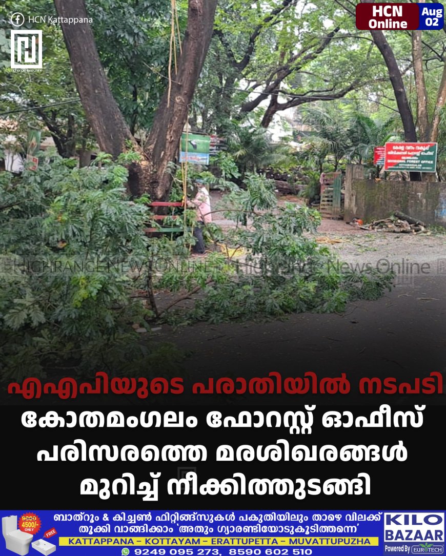 എഎപിയുടെ പരാതിയില് നടപടി: കോതമംഗലം ഫോറസ്റ്റ് ഓഫീസ് പരിസരത്തെ മരശിഖരങ്ങള് മുറിച്ച് നീക്കിത്തുടങ്ങി