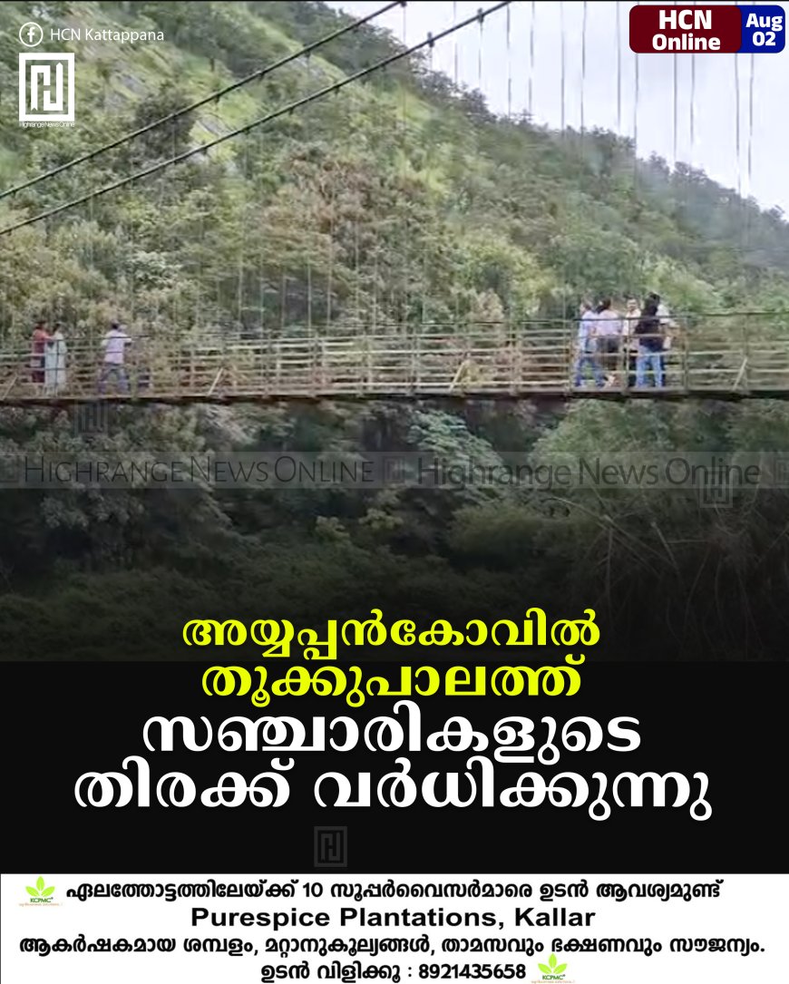 അയ്യപ്പന്കോവില് തൂക്കുപാലത്ത് സഞ്ചാരികളുടെ തിരക്ക് വര്ധിക്കുന്നു