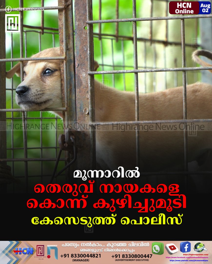 മൂന്നാറില് തെരുവ് നായകളെ കൊന്ന് കുഴിച്ചുമൂടി: കേസെടുത്ത് പൊലീസ്