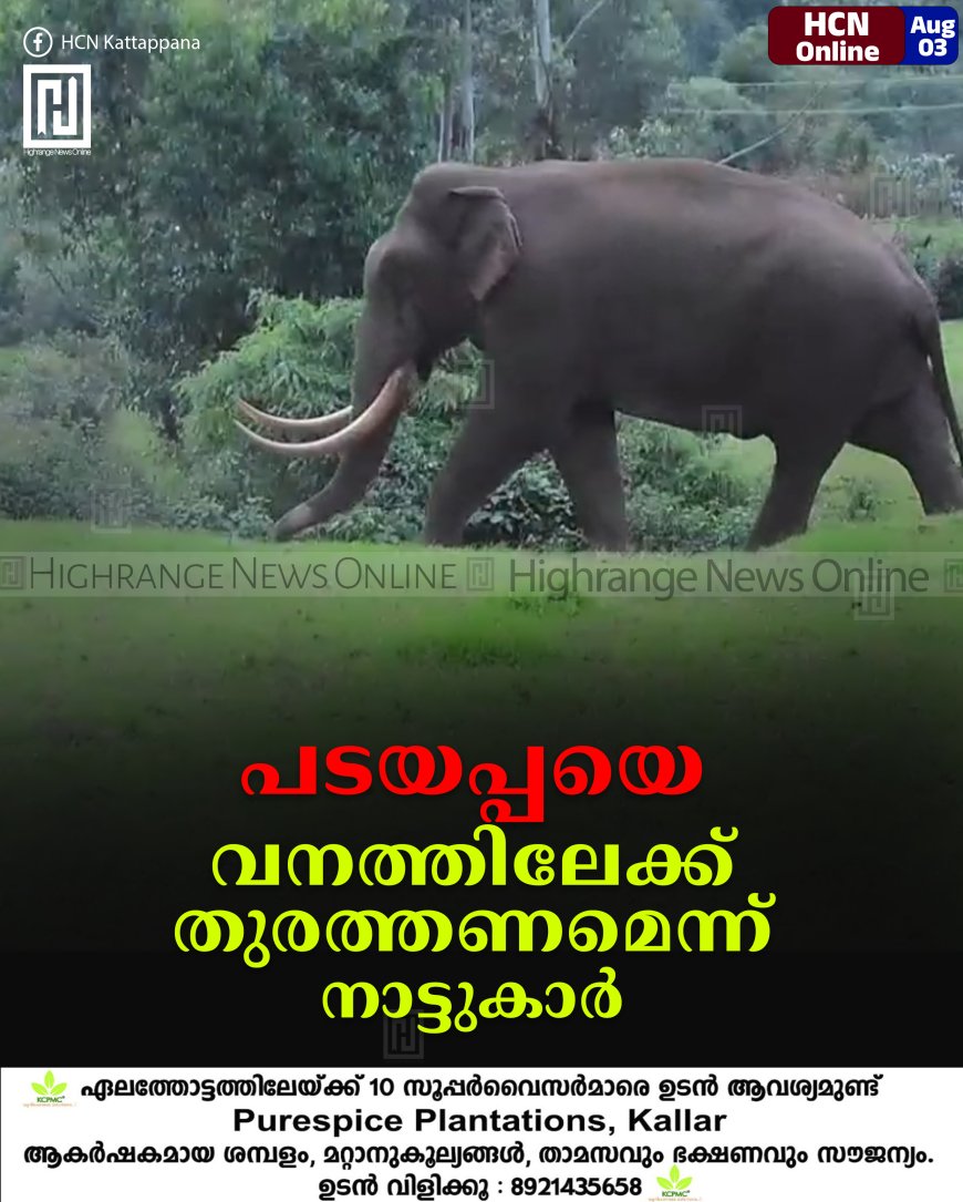പടയപ്പയെ വനത്തിലേക്ക് തുരത്തണമെന്ന് നാട്ടുകാര്