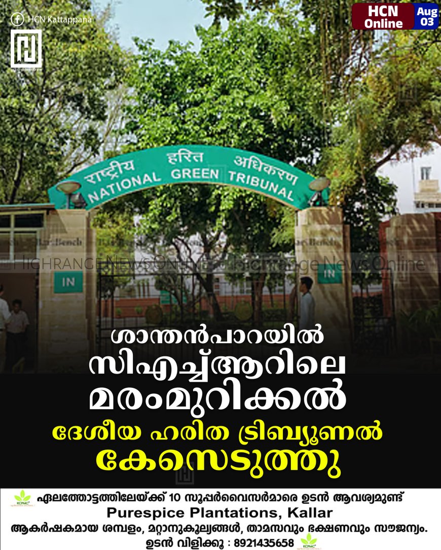 ശാന്തന്‍പാറയില്‍ സിഎച്ച്ആറിലെ മരംമുറിക്കല്‍: ദേശീയ ഹരിത ട്രിബ്യൂണല്‍ കേസെടുത്തു