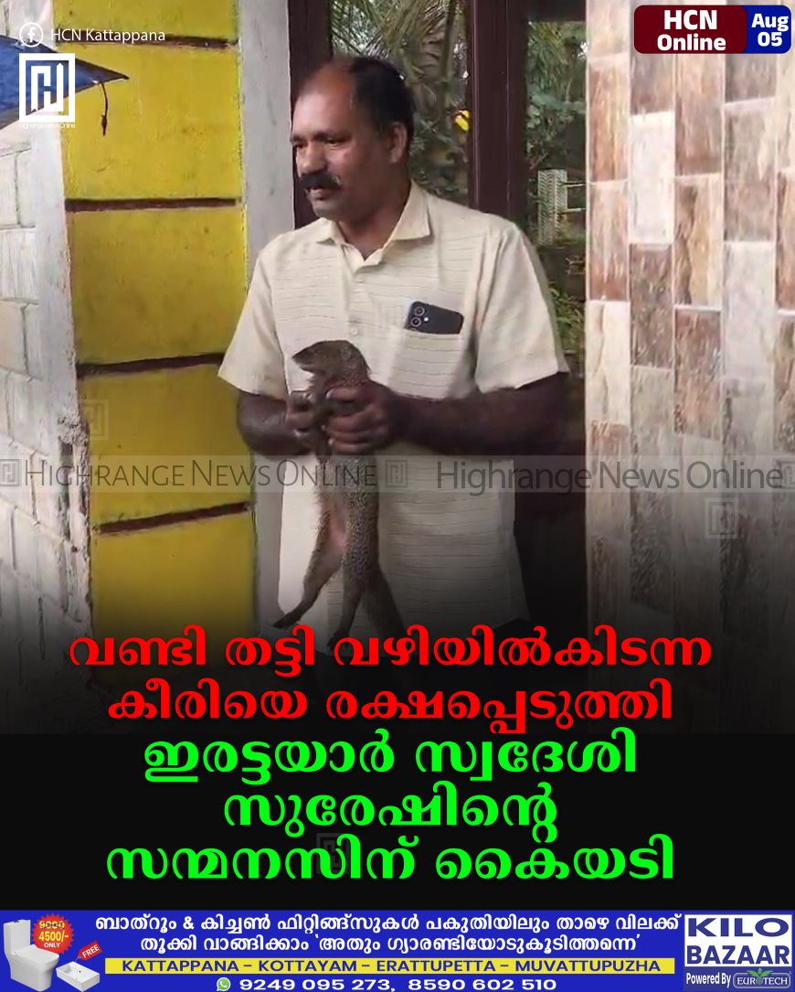 വണ്ടി തട്ടി വഴിയില്‍കിടന്ന കീരിയെ രക്ഷപ്പെടുത്തി: ഇരട്ടയാര്‍ സ്വദേശി സുരേഷിന്റെ സന്മനസിന് കൈയടി