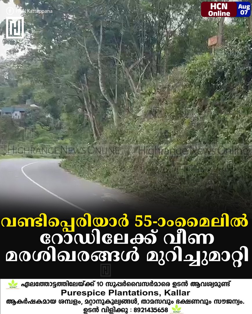 വണ്ടിപ്പെരിയാര് 55-ാംമൈലില് റോഡിലേക്ക് വീണ മരശിഖരങ്ങള് മുറിച്ചുമാറ്റി