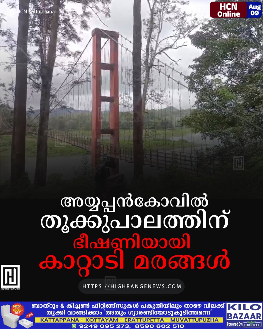 അയ്യപ്പന്‍കോവില്‍ തൂക്കുപാലത്തിന് ഭീഷണിയായി കാറ്റാടി മരങ്ങള്‍