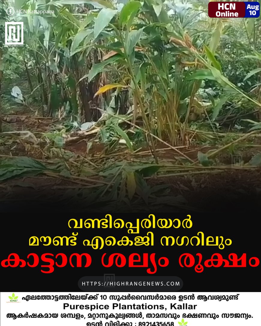 വണ്ടിപ്പെരിയാര്‍ മൗണ്ട് എകെജി നഗറിലും കാട്ടാന ശല്യം രൂക്ഷം