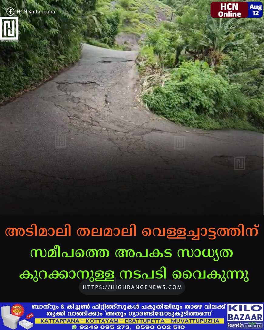 അടിമാലി തലമാലി വെള്ളച്ചാട്ടത്തിന് സമീപത്തെ അപകട സാധ്യത കുറക്കാനുള്ള നടപടി വൈകുന്നു