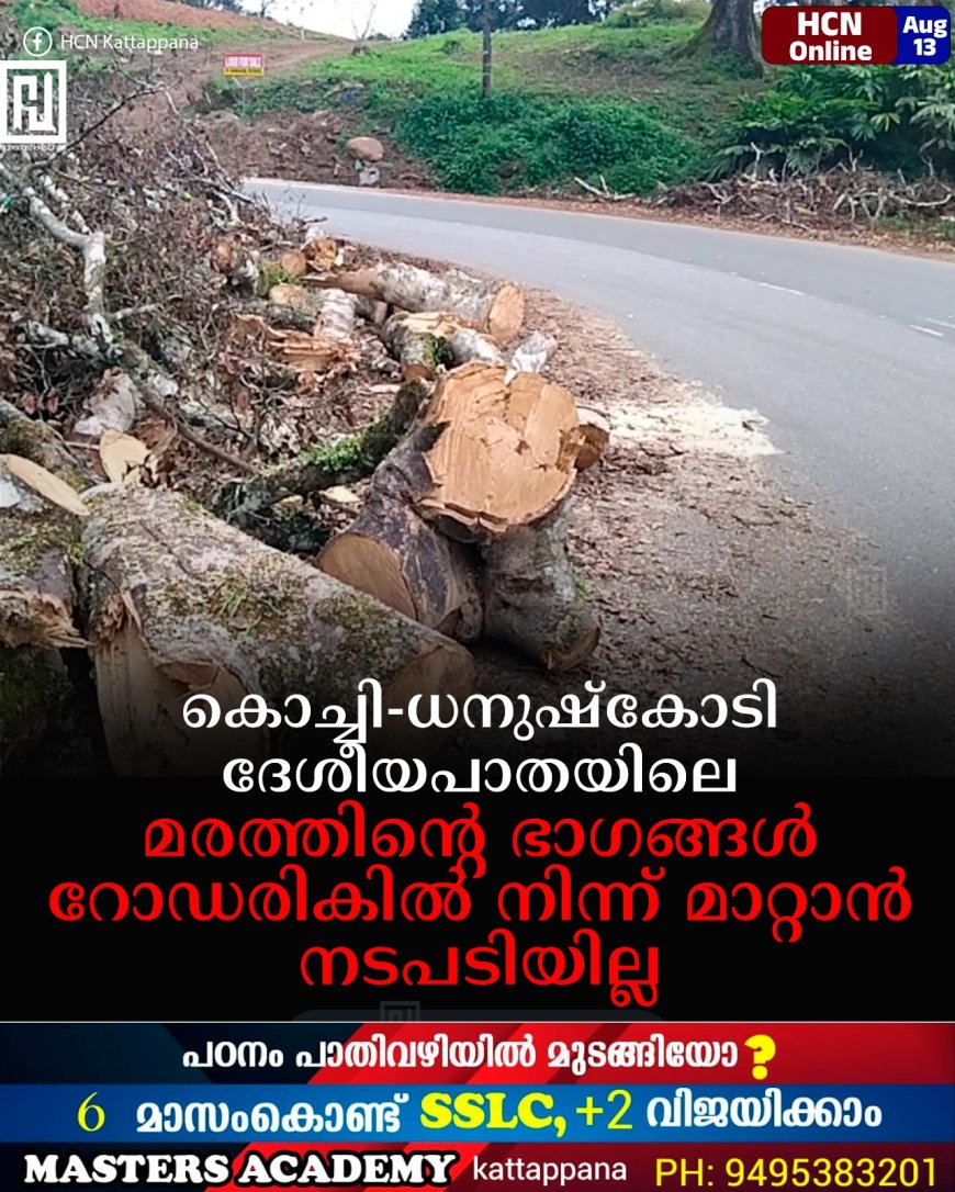 കൊച്ചി-ധനുഷ്‌കോടി ദേശീയപാതയിലെ മരത്തിന്റെ ഭാഗങ്ങള്‍ റോഡരികില്‍ നിന്ന് മാറ്റാന്‍ നടപടിയില്ല