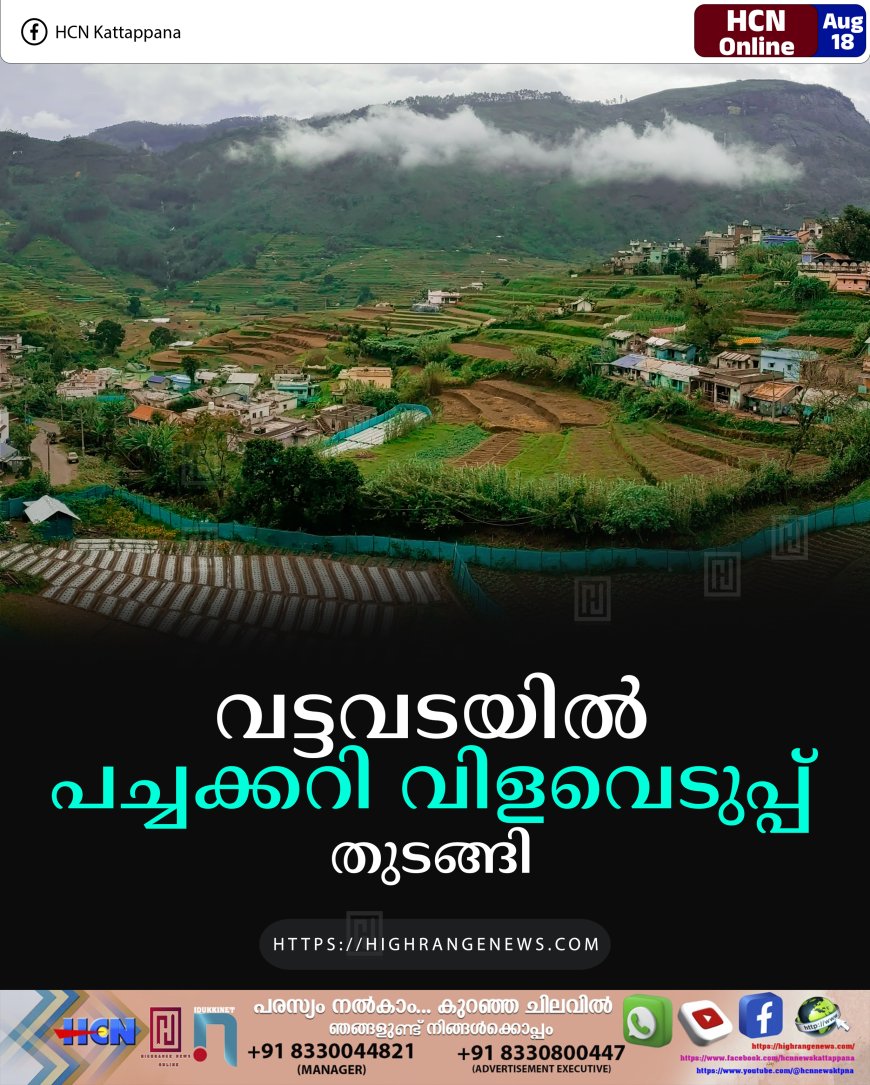 വട്ടവടയില്‍ പച്ചക്കറി വിളവെടുപ്പ് തുടങ്ങി