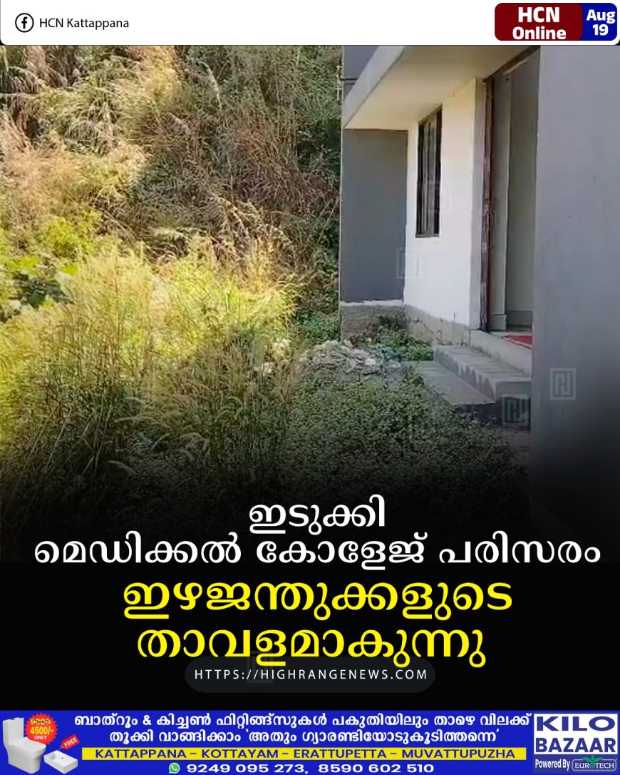 ഇടുക്കി മെഡിക്കല് കോളേജ് പരിസരം ഇഴജന്തുക്കളുടെ താവളമാകുന്നു