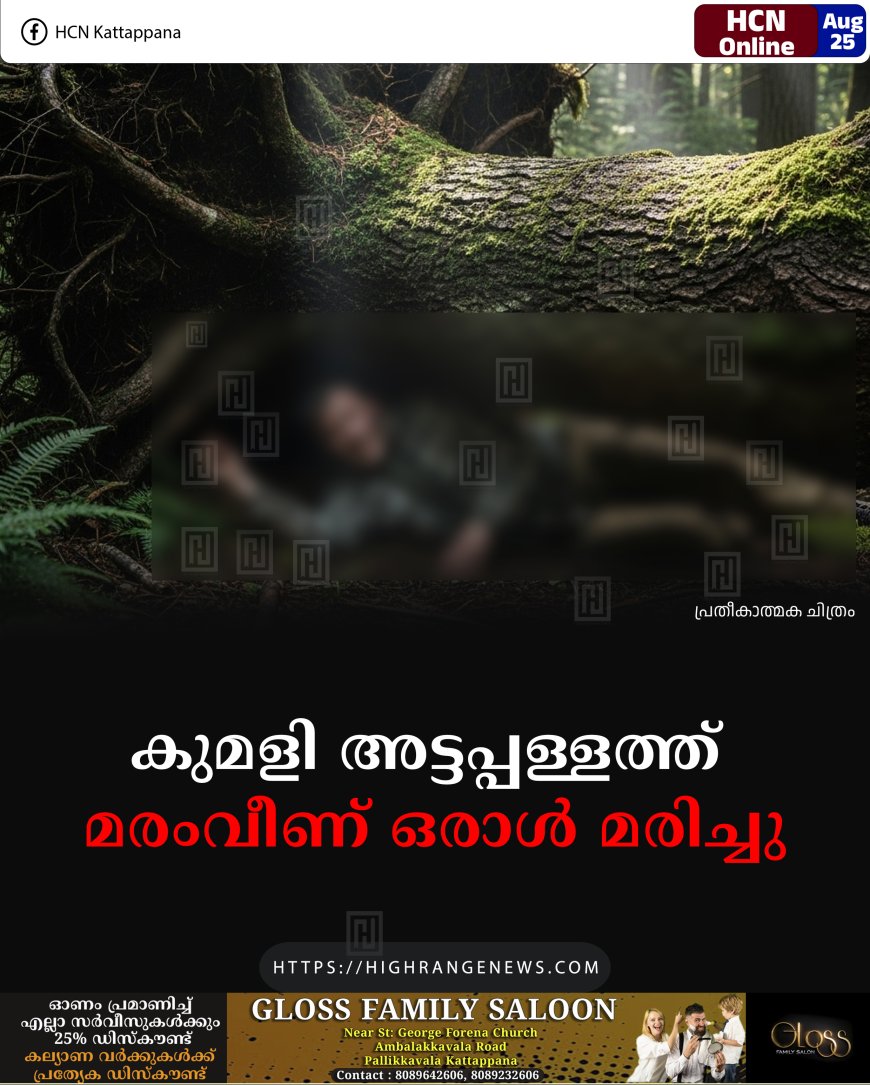 കുമളി അട്ടപ്പള്ളത്ത് മരംവീണ് ഒരാള്‍ മരിച്ചു