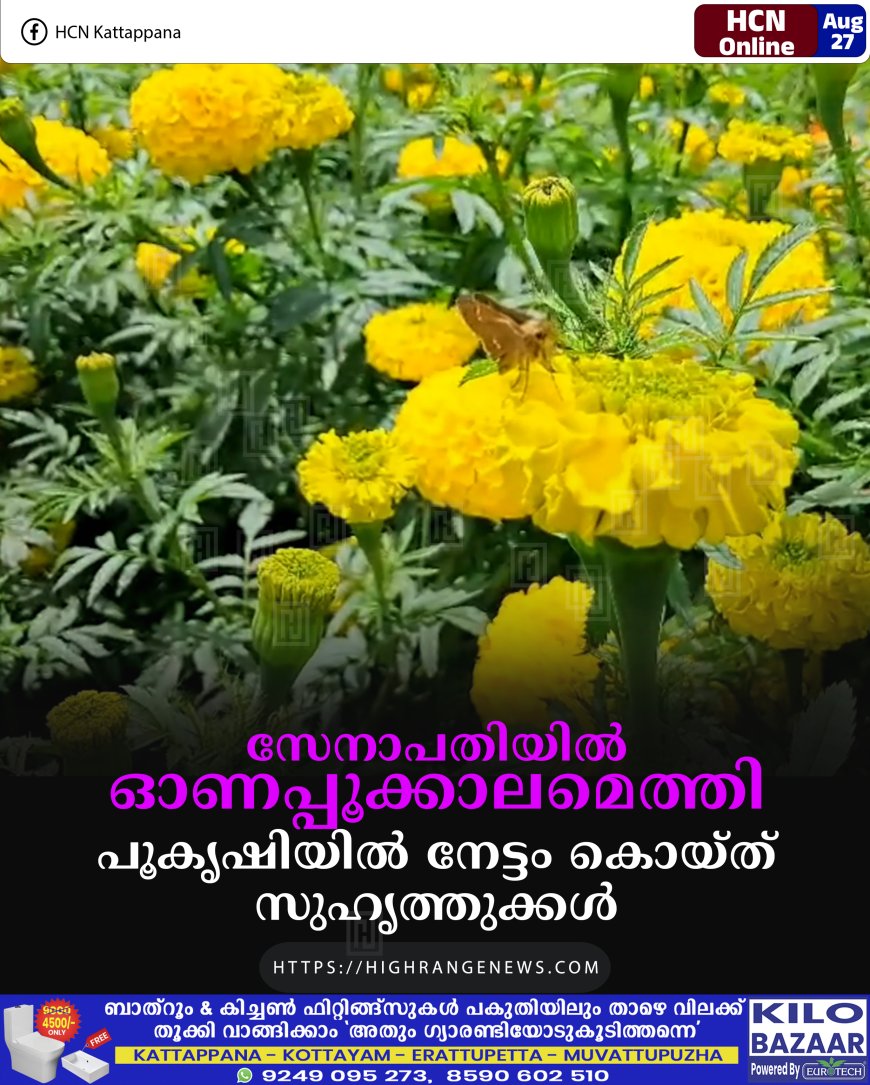 സേനാപതിയില്‍ ഓണപ്പൂക്കാലമെത്തി : പൂകൃഷിയില്‍ നേട്ടം കൊയ്ത് സുഹൃത്തുക്കള്‍