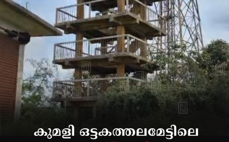 കുമളി ഒട്ടകത്തലമേട്ടിലെ വാച്ച് ടവര്‍ നാശത്തിന്റെ വക്കില്‍ 