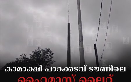 കാമാക്ഷി പാറക്കടവ് ടൗണിലെ ഹൈമാസ്റ്റ് ലൈറ്റ് ഉദ്ഘാടനം ചെയ്തു