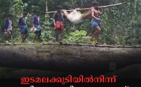 ഇടമലക്കുടിയില്‍നിന്ന് രോഗിയെ കാട്ടിലൂടെ ചുമന്ന് ആശുപത്രിയിലെത്തിച്ചു