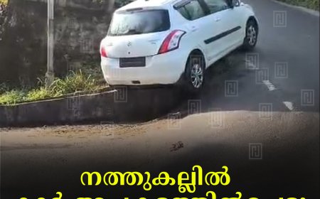 നത്തുകല്ലില്‍ കാര്‍ അപകടത്തില്‍പെട്ടു