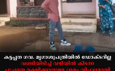 കട്ടപ്പന ഗവ. മൃഗാശുപത്രിയില് ഡോക്ടറില്ല: വണ്ടിയിടിച്ച് വഴിയില് കിടന്ന പൂച്ചയെ രക്ഷിക്കാനുള്ള ശ്രമം വിഫലമായി: ആശുപത്രിയുടെ പ്രവര്ത്തനം അവതാളത്തില്