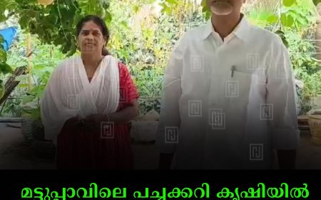 മട്ടുപ്പാവിലെ പച്ചക്കറി കൃഷിയില്‍ വിസ്മയം തീര്‍ത്ത് ശശീന്ദ്രനും സുമതിയും 