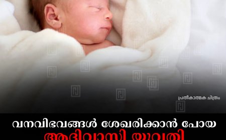 വനവിഭവങ്ങള്‍ ശേഖരിക്കാന്‍ പോയ ആദിവാസി യുവതി വനത്തിനുള്ളില്‍ പ്രസവിച്ചു 