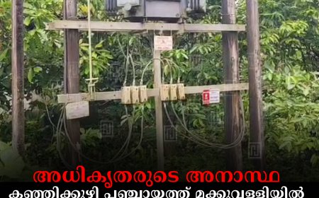 അധികൃതരുടെ അനാസ്ഥ: കഞ്ഞിക്കുഴി പഞ്ചായത്ത് മക്കുവള്ളിയില്‍ ട്രാന്‍സ്‌ഫോര്‍മറിന് സംരക്ഷണ വേലി ഇല്ല 