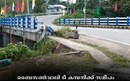 ബൈസണ്വാലി ടീ കമ്പനിക്ക് സമീപം പാലത്തിന്റെ കൈവരികള് പുനര്നിര്മിക്കണമെന്ന് നാട്ടുകാര്