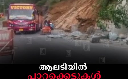 ആലടിയില്‍ പാറക്കെട്ടുകള്‍ റോഡിലേക്ക് വീണ് ഗതാഗതം തടസപ്പെട്ടു