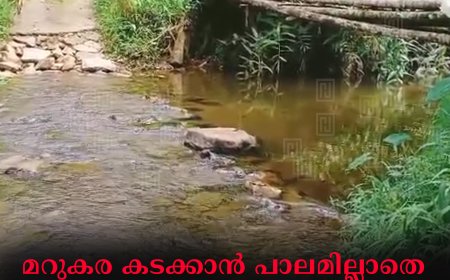 മറുകര കടക്കാന്‍ പാലമില്ലാതെ പള്ളിവാസല്‍ കമ്പിലൈനിലെ ഗ്രാമീണ ജനത 