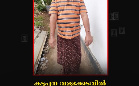 കട്ടപ്പന വള്ളക്കടവിൽ തെരുവുനായ ആക്രമണം: മധ്യവയസ്കന്  പരിക്ക്