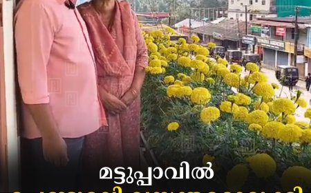 മട്ടുപ്പാവില്‍ ചെണ്ടുമല്ലി വസന്തമൊരുക്കി ദമ്പതികള്‍
