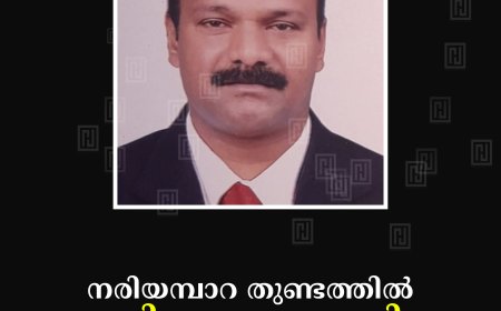 നരിയമ്പാറ തുണ്ടത്തില്‍ റോയി മാത്യു അന്തരിച്ചു