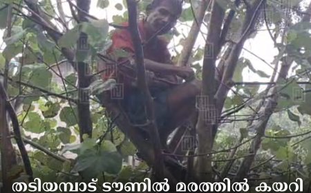 തടിയമ്പാട് ടൗണില്‍ മരത്തില്‍ കയറി ആത്മഹത്യ ഭീഷണി മുഴക്കി യുവാവ് 