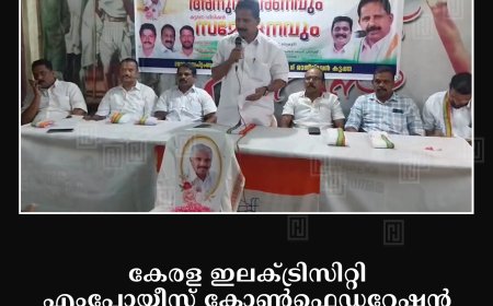 കേരള ഇലക്ട്രിസിറ്റി എംപ്ലോയീസ് കോണ്‍ഫെഡറേഷന്‍ കട്ടപ്പന ഡിവിഷന്‍ സമ്മേളനം നടത്തി 