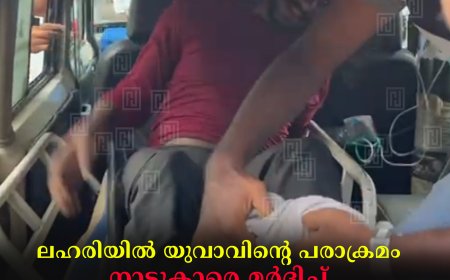 ലഹരിയില്‍ യുവാവിന്റെ പരാക്രമം: നാട്ടുകാരെ മര്‍ദിച്ച് ഭീകരാന്തരീക്ഷം സൃഷ്ടിച്ചു: സംഭവം അടിമാലിയില്‍
