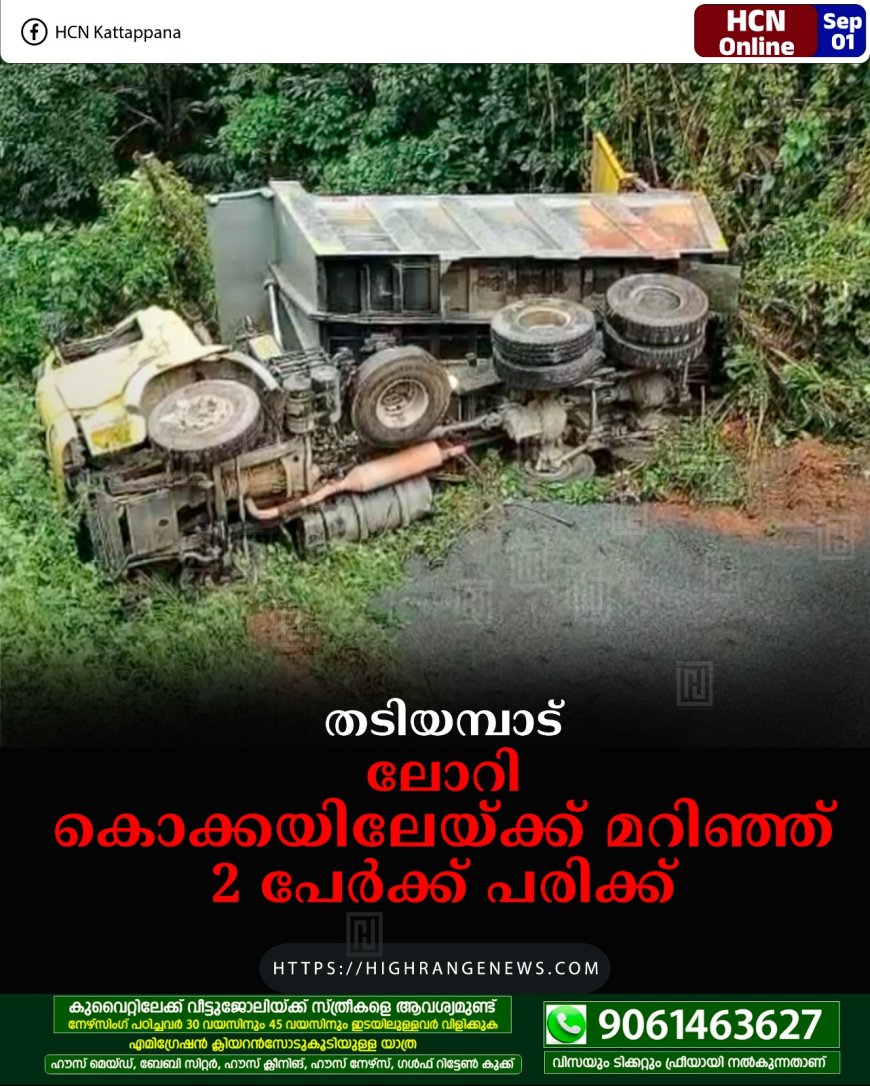 തടിയമ്പാട്  ലോറി കൊക്കയിലേയ്ക്ക് മറിഞ്ഞ് 2 പേര്‍ക്ക് പരിക്ക്