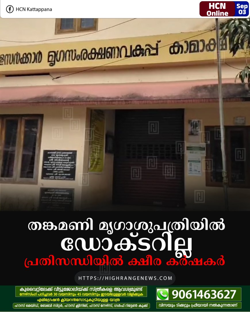 തങ്കമണി മൃഗാശുപത്രിയില്‍ ഡോക്ടറില്ല: പ്രതിസന്ധിയില്‍ ക്ഷീര കര്‍ഷകര്‍ 