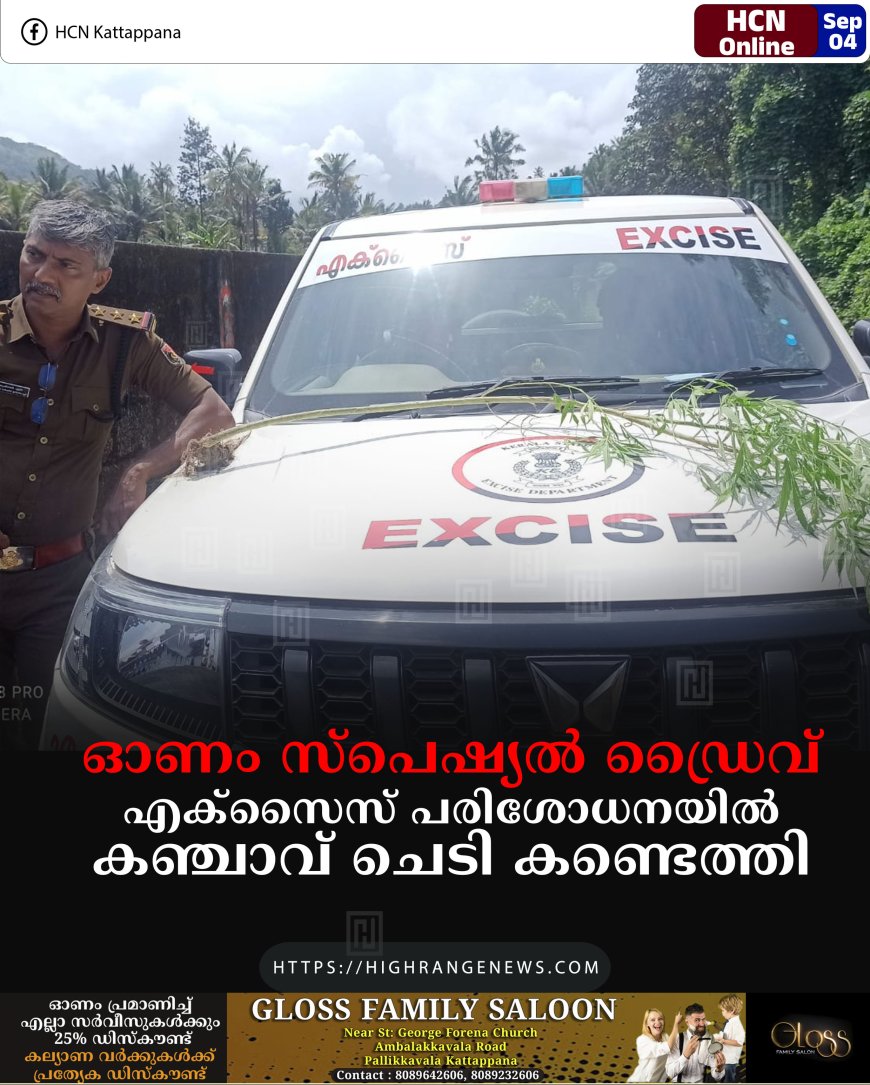 ഓണം സ്പെഷ്യല്‍ ഡ്രൈവ്: എക്‌സൈസ് പരിശോധനയില്‍ കഞ്ചാവ് ചെടി കണ്ടെത്തി 