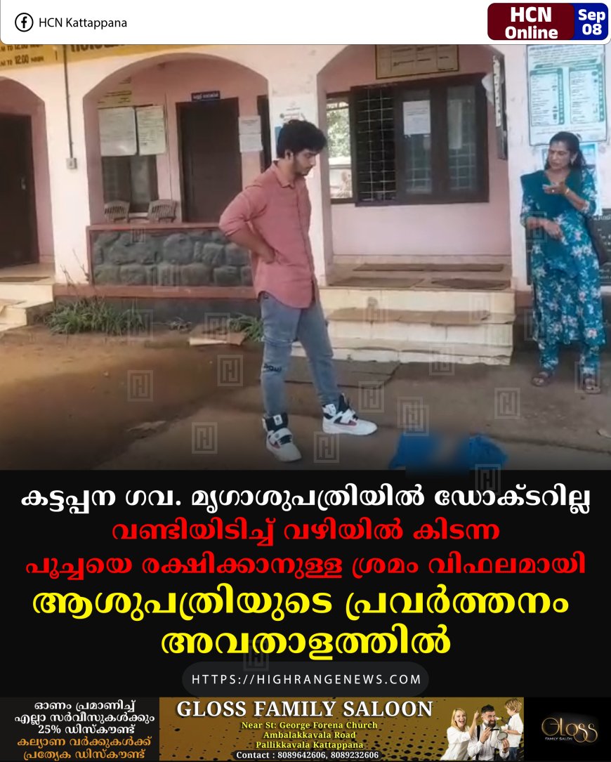 കട്ടപ്പന ഗവ. മൃഗാശുപത്രിയില്‍ ഡോക്ടറില്ല: വണ്ടിയിടിച്ച് വഴിയില്‍ കിടന്ന പൂച്ചയെ രക്ഷിക്കാനുള്ള ശ്രമം വിഫലമായി: ആശുപത്രിയുടെ പ്രവര്‍ത്തനം അവതാളത്തില്‍